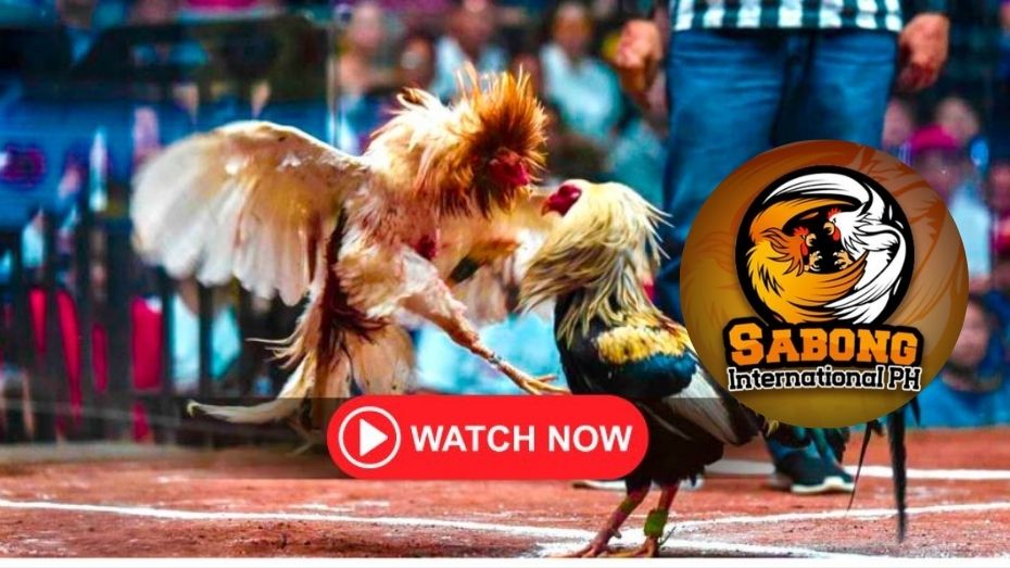 how to bet sports in ohio